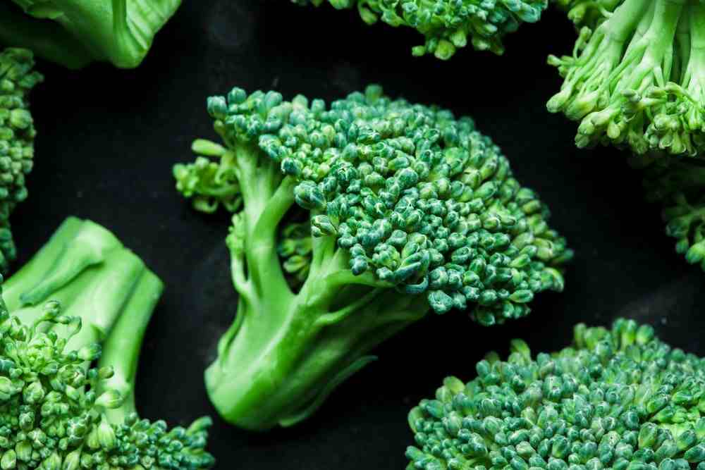 Présentation d'un brocoli, aliment contre la constipation, laxatif naturel