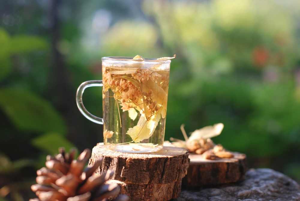 Présentation d'une tisane de fenouil laxatif naturel