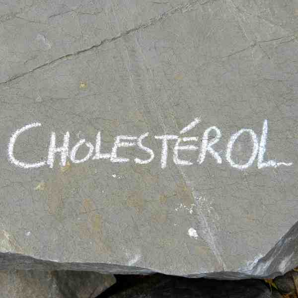 Cholestérol hdl total taux normal