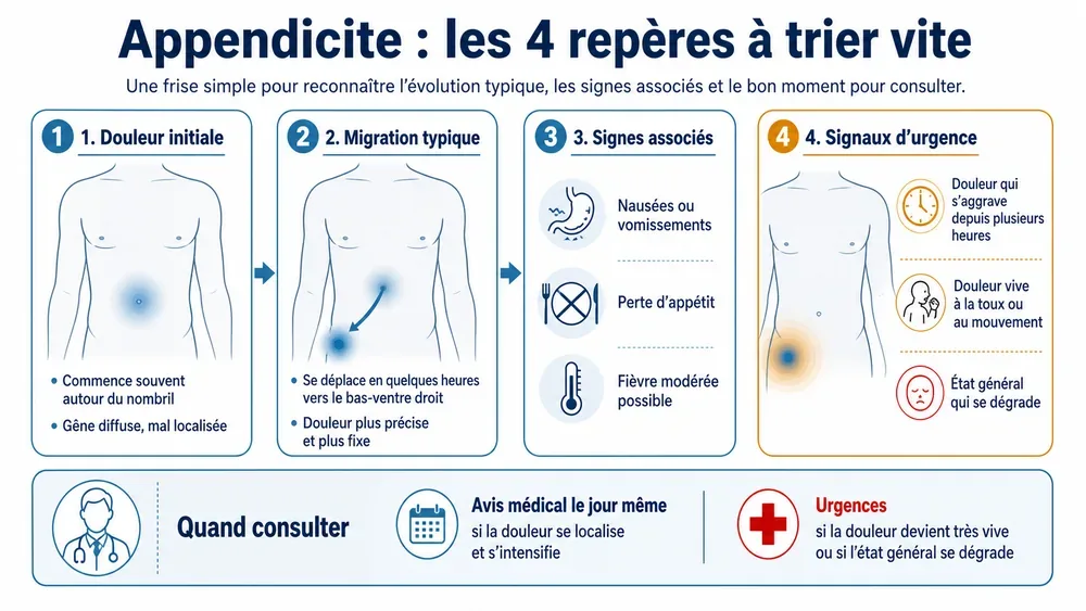 Appendicite : les 4 repères à trier vite. Une frise simple pour reconnaître l’évolution typique, les signes associés et le bon moment pour consulter.