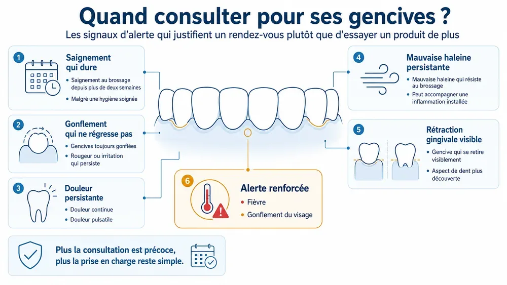 Quand consulter pour ses gencives ? : les signaux d’alerte qui justifient un rendez-vous plutôt que d’essayer un produit de plus