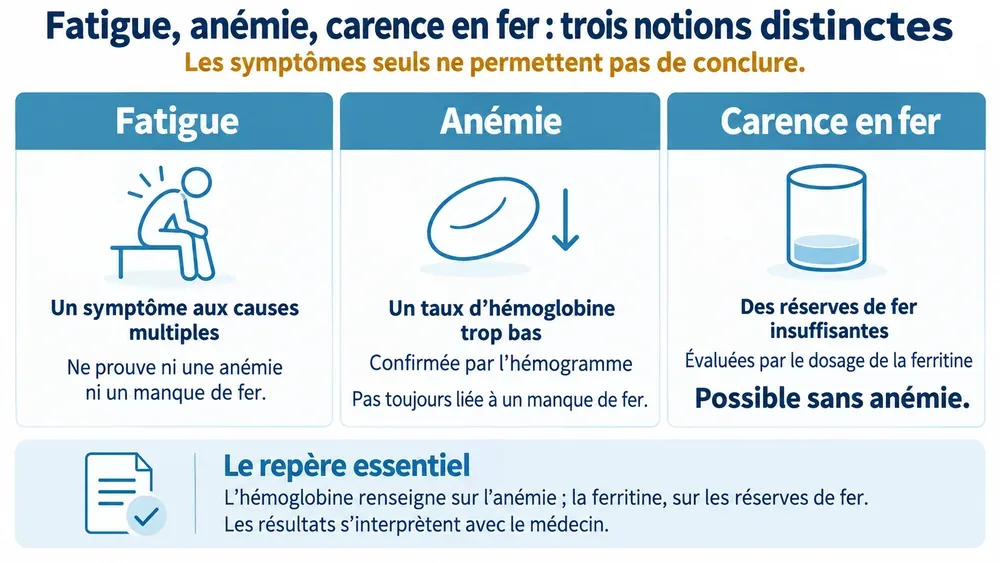Fatigue, anémie, carence en fer : trois notions distinctes. Les symptômes seuls ne permettent pas de conclure.